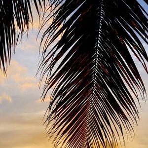 Meet your Posher, Oksana